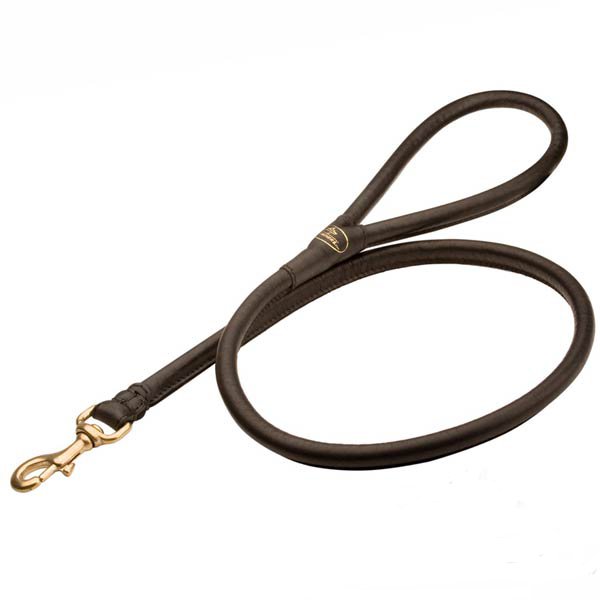 Stitched rolled leather dog leash