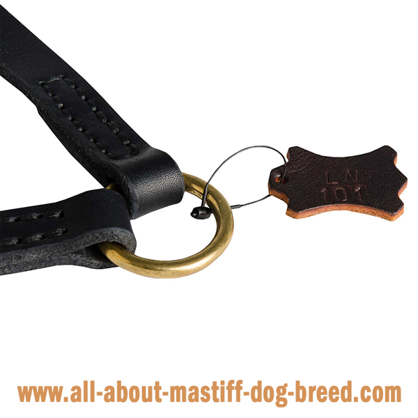 Mastiff Dog Coupler Connected with Massive O-Ring for  Leash Attachment