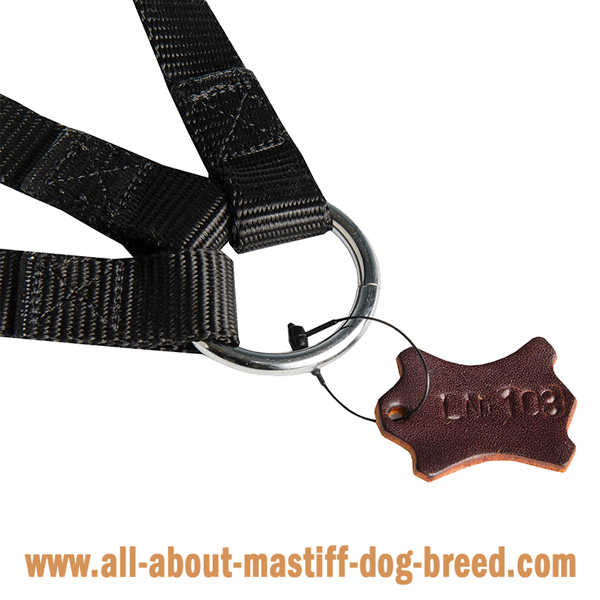 Mastiff Dog Triple Coupler with Massive O-Ring for Leash  Attachment