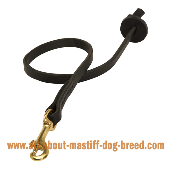 Custom leather Mastiff lead with rustproof snap hook