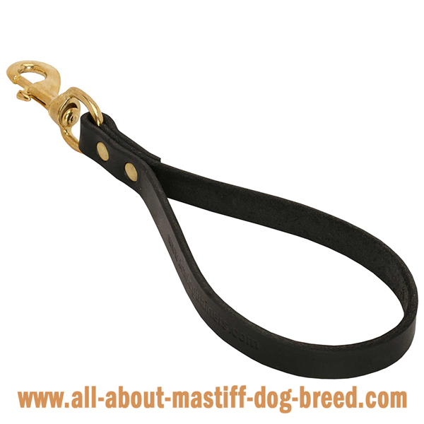 Adjustable leather Mastiff leash