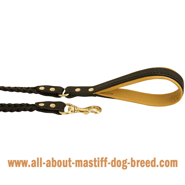 Mastiff leather leash with brass snap hook