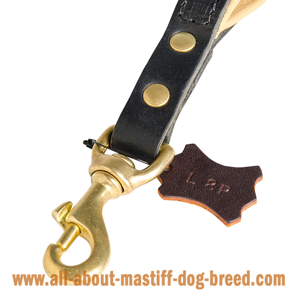 Mastiff leather leash with sturdy snap hook