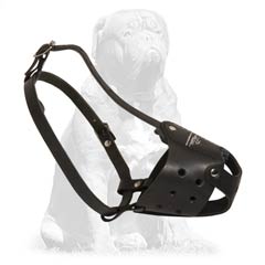Mastiff leather dog muzzle for everyday use