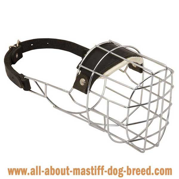 Bullmastiff Wire Basket Muzzle with One Strap