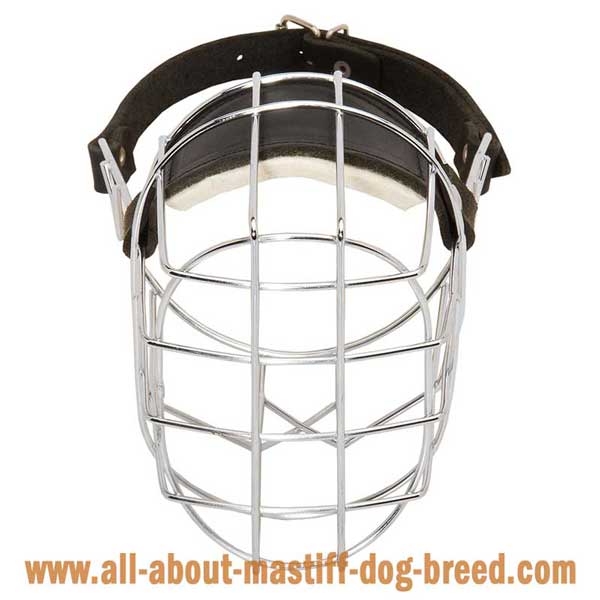Bullmastiff Wire Basket Muzzle with Perfect Air FLow