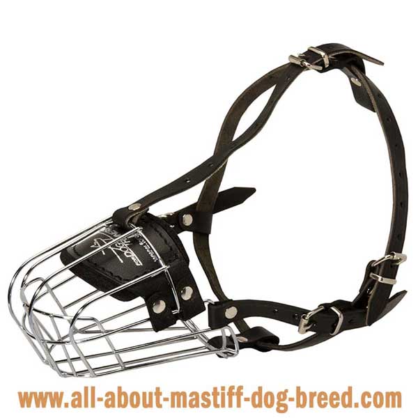 Cane Corsometal muzzle with adjustable straps 