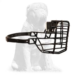 Mastiff Breed Metal Cage Muzzle