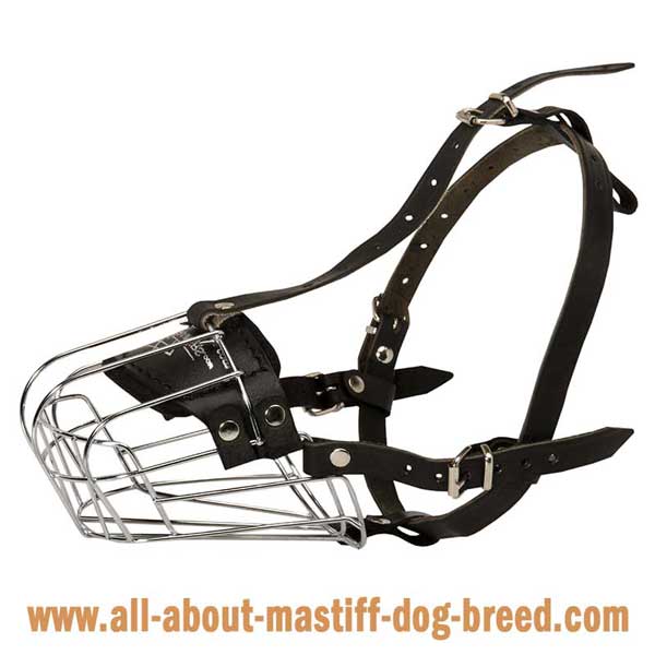 French Mastiff wire basket muzzle with supple straps 