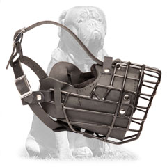 Mastiff Winter Metal Cage Dog Muzzle with Felt Padded  Nose Area