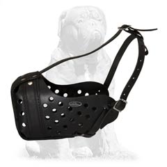 Strong dog muzzle for training