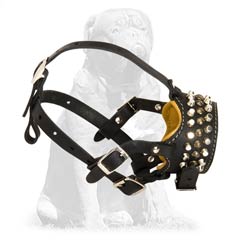 Mastiff leather dog muzzle with cones and studs