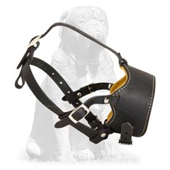 Totally Adjustable Anti Barking Muzzle For Your Mastiff