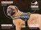 Bullmastiff Nylon Harness with Reflective Strap