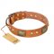 "Saucy Nature" FDT Artisan Tan Leather Mastiff Collar with Old Bronze Look Plates and Skulls