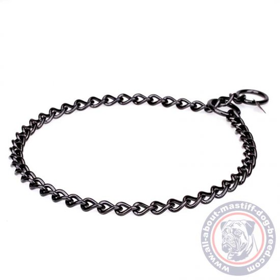 steel dog collar