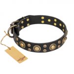 'Baroque Chic' FDT Artisan Studded Black Mastiff Leather Dog Collar