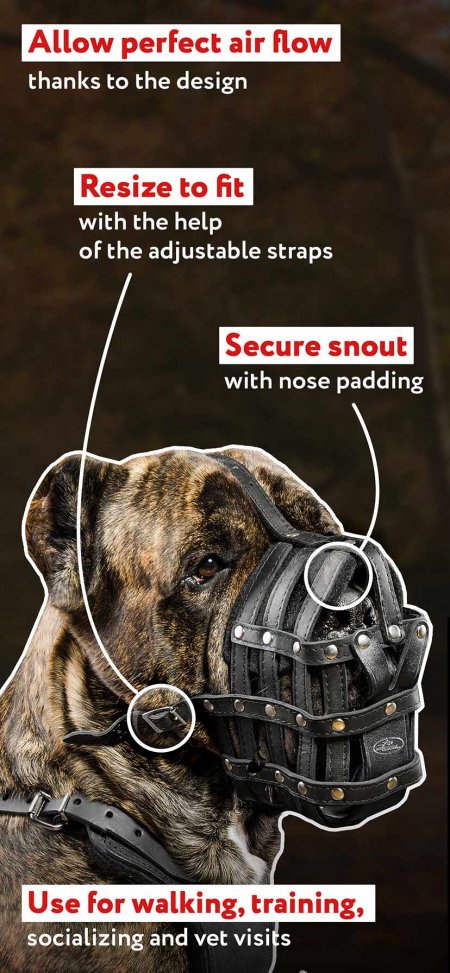 adjustable boxer muzzle