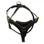 Tracking and Walking English Mastiff Harness made of Leather