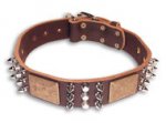 Big Spike Brown collar 27'' for Mastiff/ 27 inch dog collar-C86