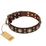 'Flower Melody' FDT Artisan Brown Leather Dog Collar with Mixed Studs for Mastiff Daily Walking