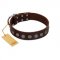 "Starry-Eyed" Best Quality FDT Artisan Brown Designer Leather Mastiff Collar with Small Plates