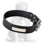 Mastiff leather collar with ID tag