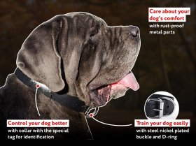 Leather dog collar with id tag - leather collar with name tag