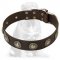 Mastiff Leather Dog Collar with Conchos