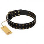 "Star Way" FDT Artisan Black Leather Mastiff Collar with Bronze-like and Silver-like Star Studs
