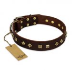 'Fashion Studs' FDT Artisan Decorated Brown Leather Mastiff Collar with Old Bronze-Plated Steel Hardware 1 1/2 inch (40 mm) Wide