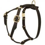 German Mastiff Tracking Leather Dog Harness Super Lightweight