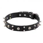 Mastiff Leather Dog Collar with Skulls and 2 Rows of Spikes 30mm wide