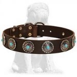 Stunning Mastiff collar with blue stones