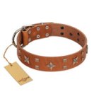 "Dreamy Gleam" FDT Artisan Tan Leather Mastiff Collar Adorned with Stars and Squares