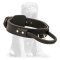 Efficient High Quality Agitation Training Mastiff Collar