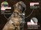 Cane Corso Leather Harness for Effective Training