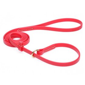 Durable Red Biothane Mastiff Leash and Collar Combo