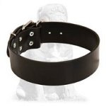Extra Wide Leather Collar for Mastiff