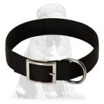 Nylon Dog Collar- 2 Ply Nylon with Nickel Plated Hardware