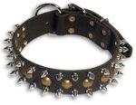 Spiked Black collar 26'' for Mastiff /26 inch dog collar -S55