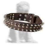 Excellent Spiked and Studded Mastiff Leather Collar