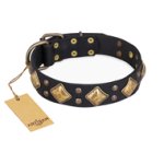 "Fancy-Schmancy" FDT Artisan Adorned Leather Mastiff Collar