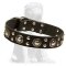 Mastiff Mix Studded Leather Dog Collar