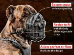 Comfy leather basket muzzle for Cane Corso