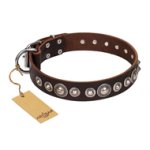 "Step and Sparkle" FDT Artisan Glamorous Studded Brown Leather Collar for Mastiff