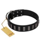 "Black Prince" Handmade FDT Artisan Black Leather Mastiff Collar with Silver-Like Adornments