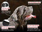 Padded Leather dog collar with thick felt for walking ,training