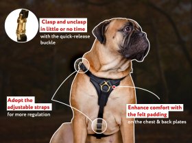 Tracking/Walking Leather Dog Harness for Mastiff