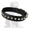 Mastiff Nylon Dog Collar with 1 Row Studs